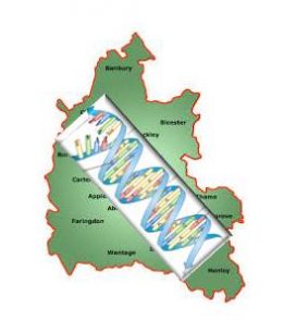 Image of DNA strand across map of Oxfordshire | Sue Honore